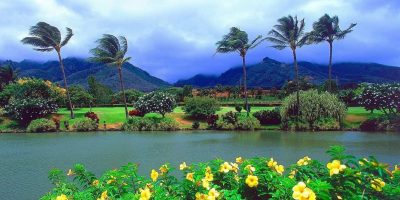 Moving to Oahu2